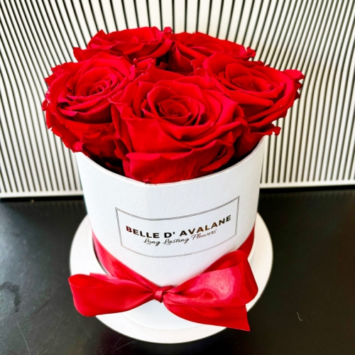 Rose éternelle 5