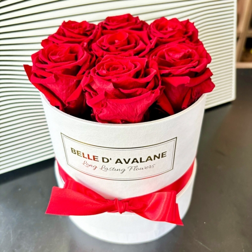 Rose éternelle 7